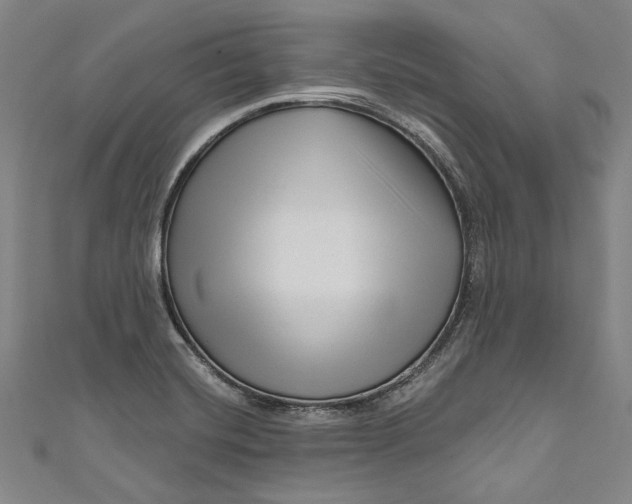 X0000111201420200907221121