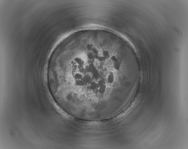 X0000111201421200907221121