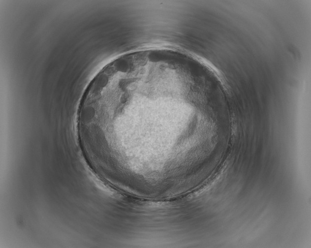 X0000111201423200907221121