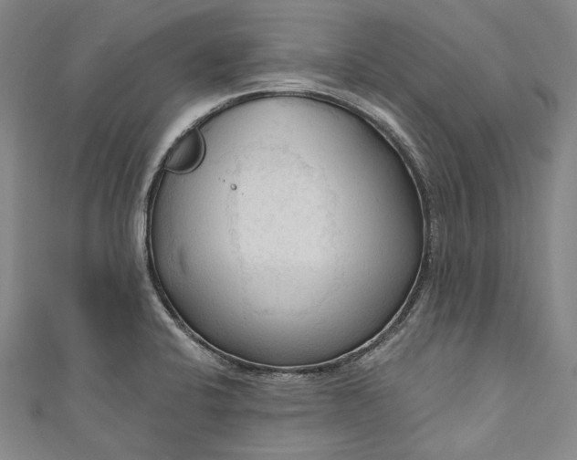 X0000111201424200907221121