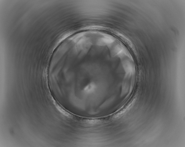 X0000111201425200907221121