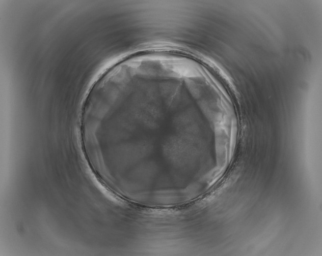 X0000111201429200907221121