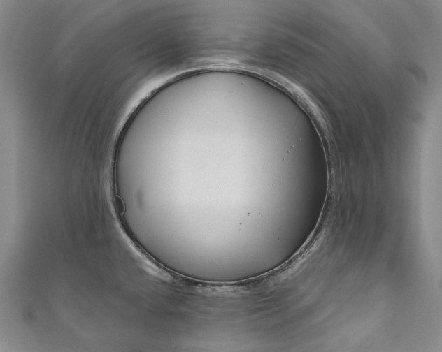 X0000111201432200907221121