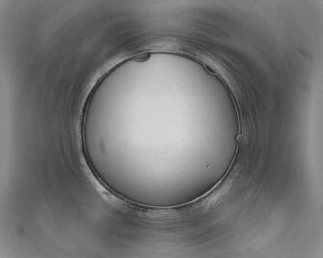 X0000111201434200907221121