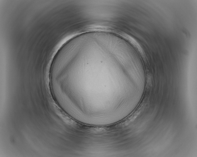 X0000111201435200907221121