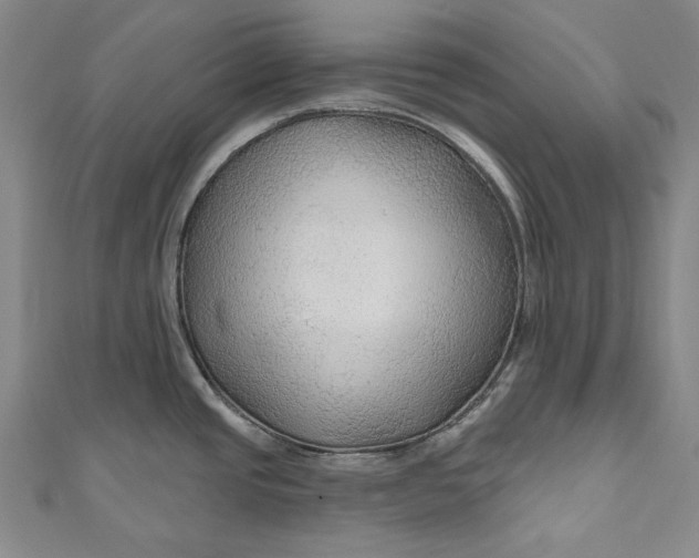 X0000111201437200907221121