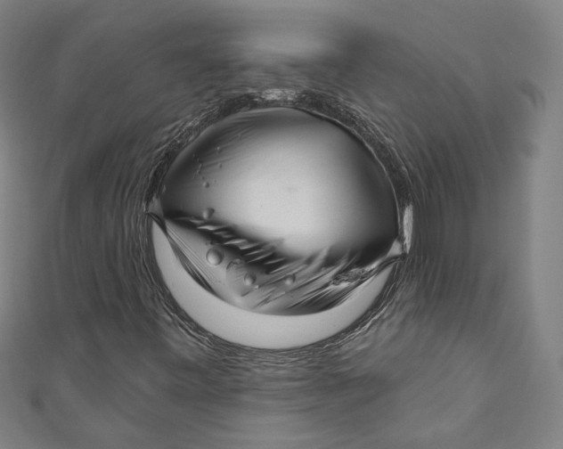 X0000111201443200907221120