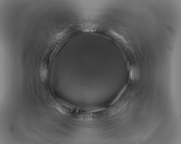 X0000111201444200907221120