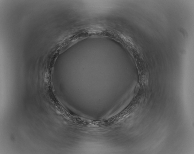 X0000111201445200907221120