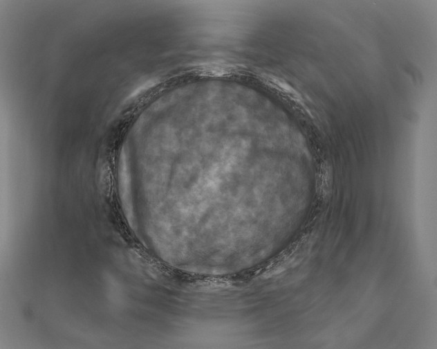 X0000111201446200907221120