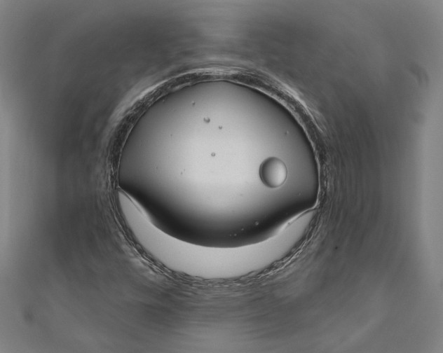 X0000111201448200907221120