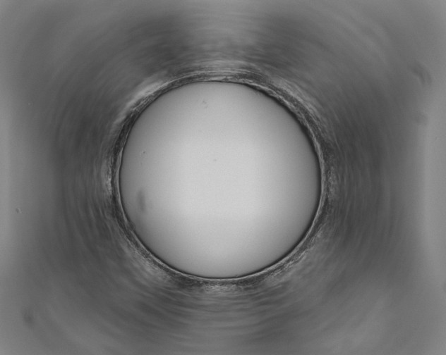 X0000111201451200907221120