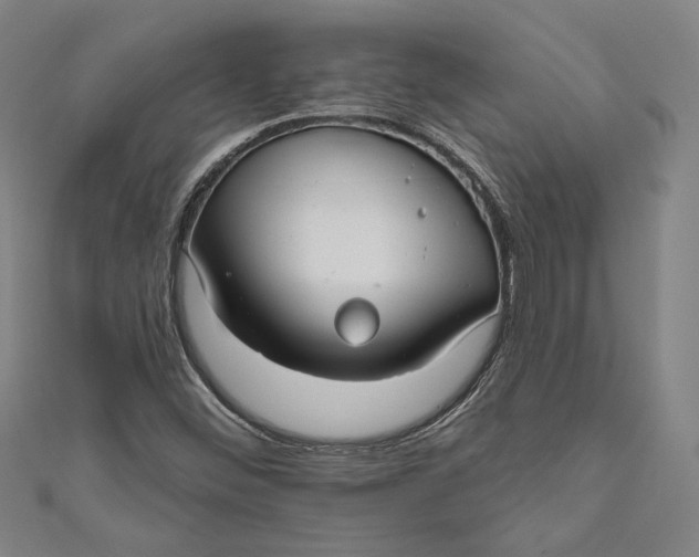 X0000111201452200907221120