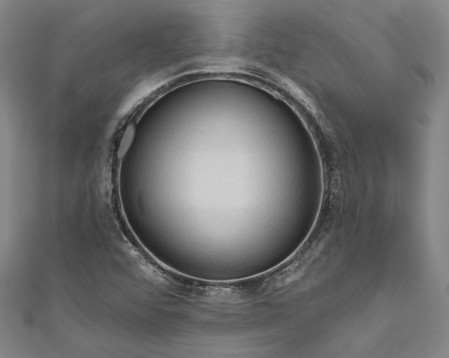 X0000111201456200907221120