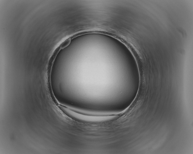 X0000111201460200907221120