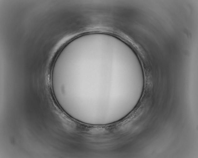 X0000111201462200907221120