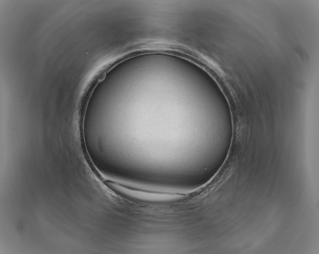 X0000111201464200907221120