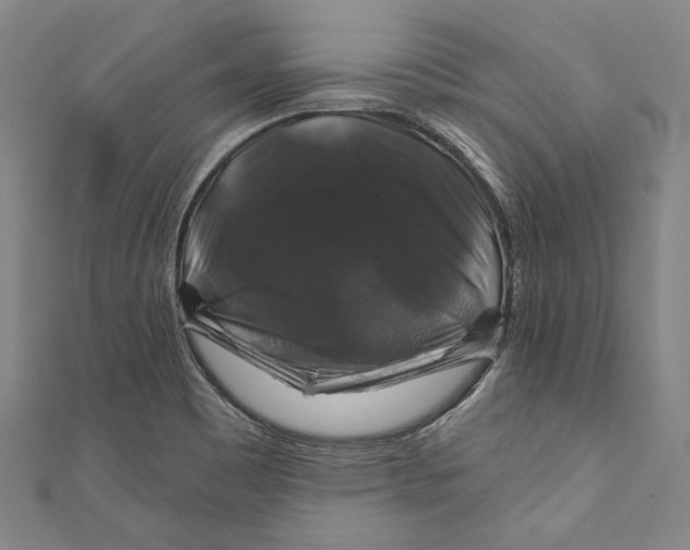 X0000111201465200907221120