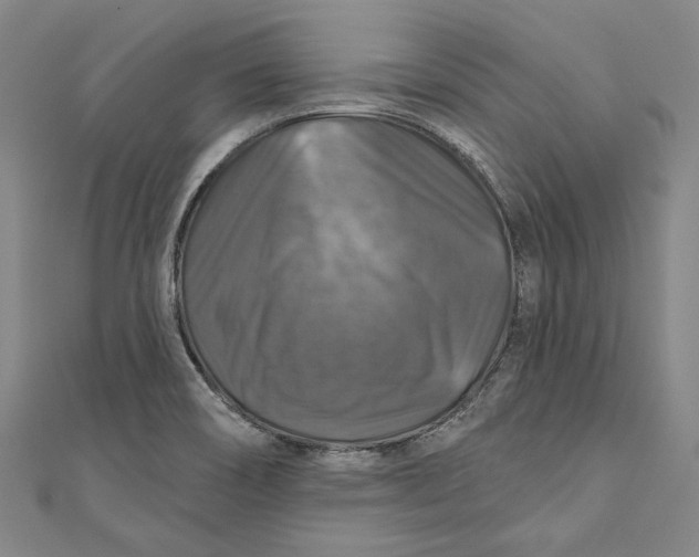 X0000111201466200907221120