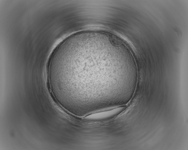 X0000111201467200907221120