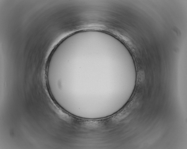 X0000111201470200907221120