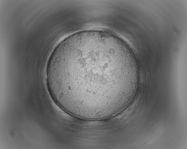 X0000111201471200907221120