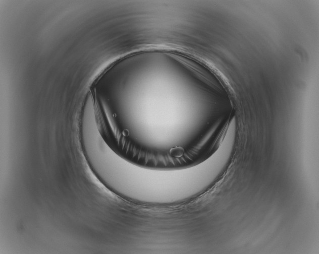 X0000111201476200907221120