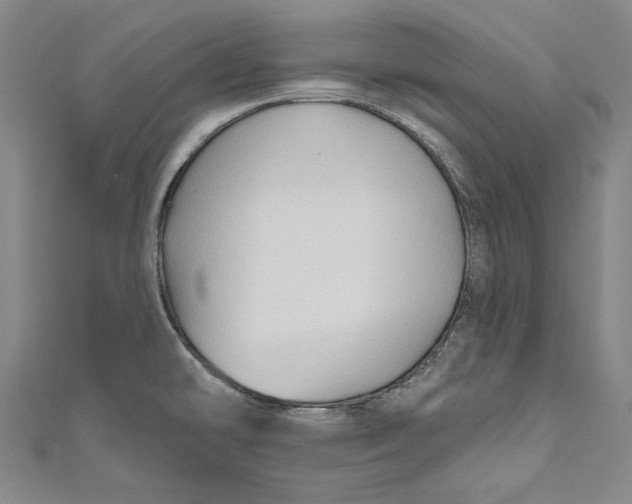 X0000111201478200907221120