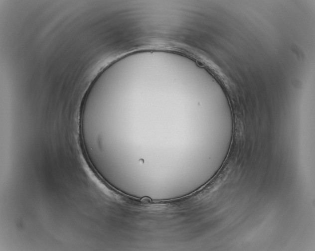 X0000111201479200907221120