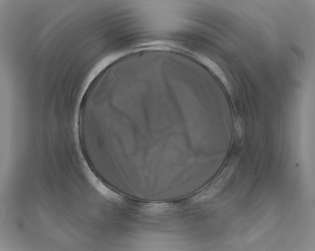 X0000111201482200907221120