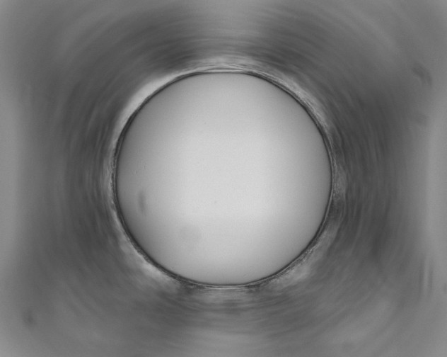 X0000111201486200907221120