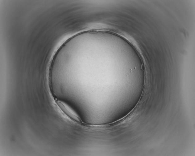 X0000111201488200907221120