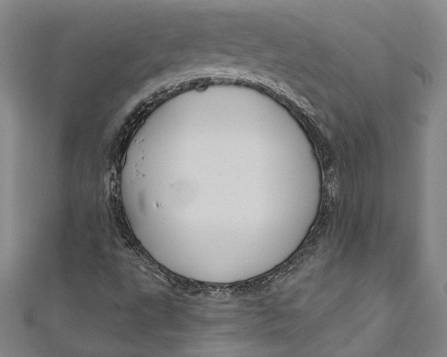 X0000111201495200907221119