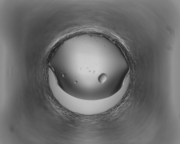 X0000111201496200907221119