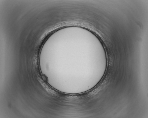 X0000111201499200907221119