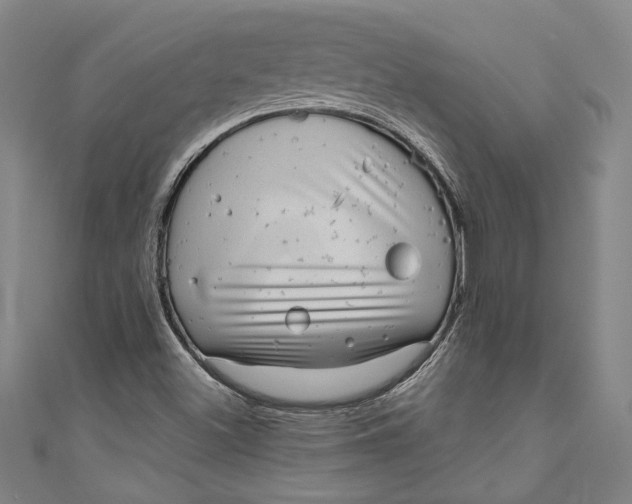 X0000111201500200907221119