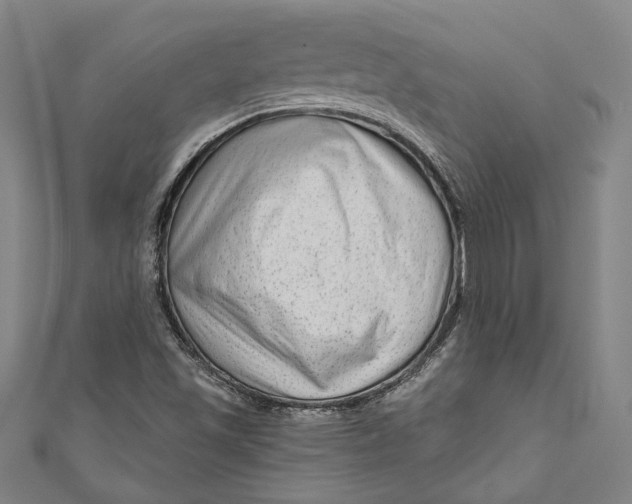 X0000111201501200907221119