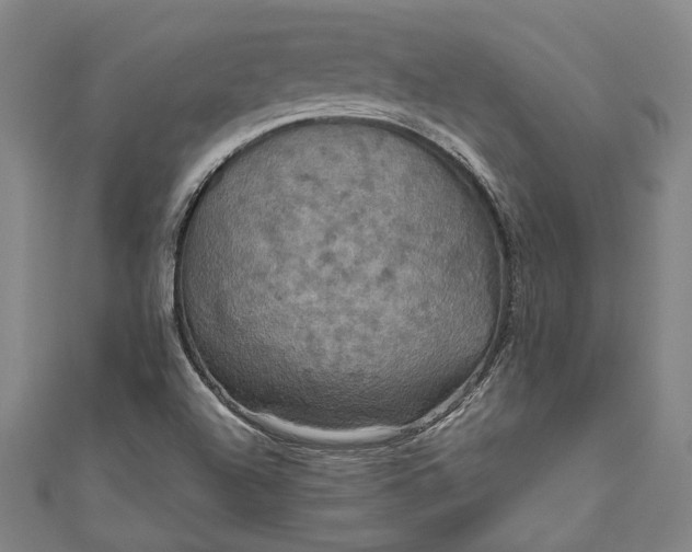 X0000111201504200907221119