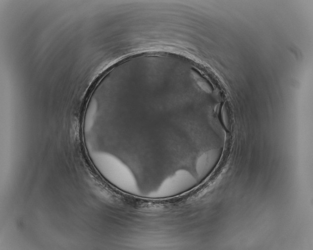 X0000111201505200907221119