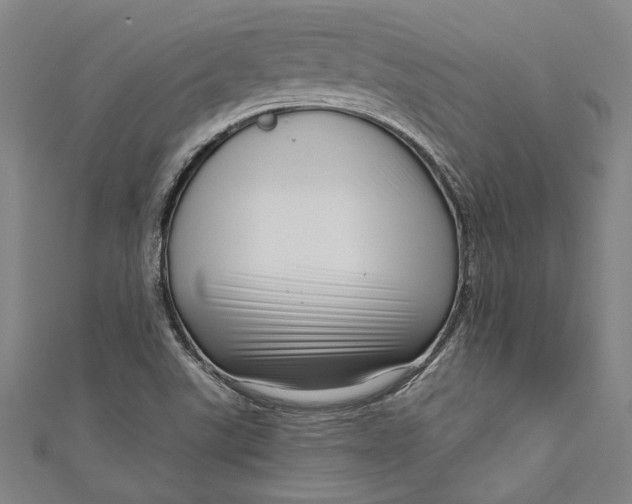 X0000111201507200907221119