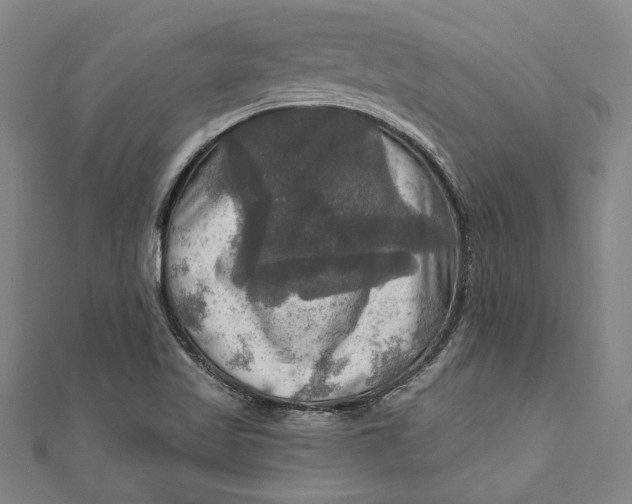 X0000111201509200907221119