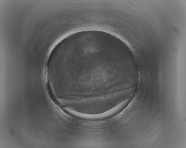 X0000111201510200907221119