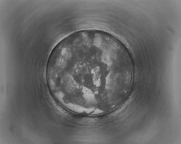 X0000111201513200907221119