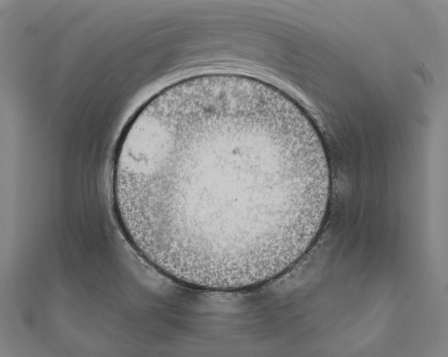 X0000111201514200907221119