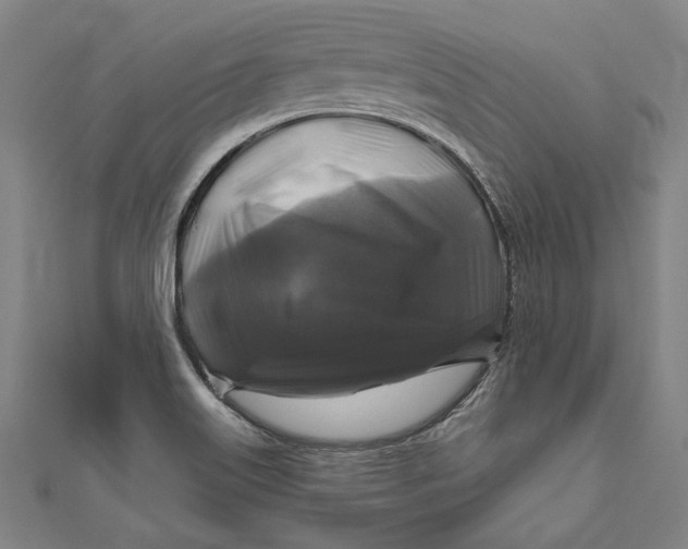 X0000111201515200907221119