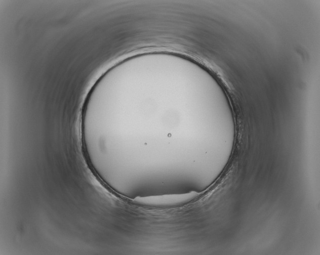 X0000111201516200907221119