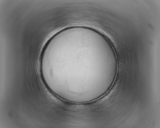 X0000111201517200907221119