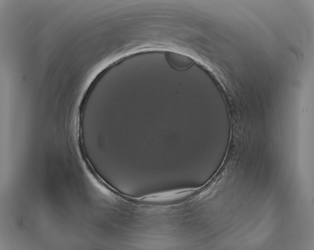 X0000111201519200907221119