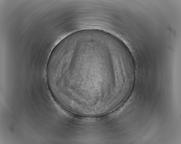 X0000111201521200907221119