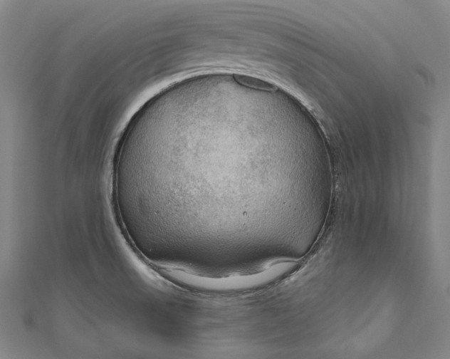 X0000111201523200907221119